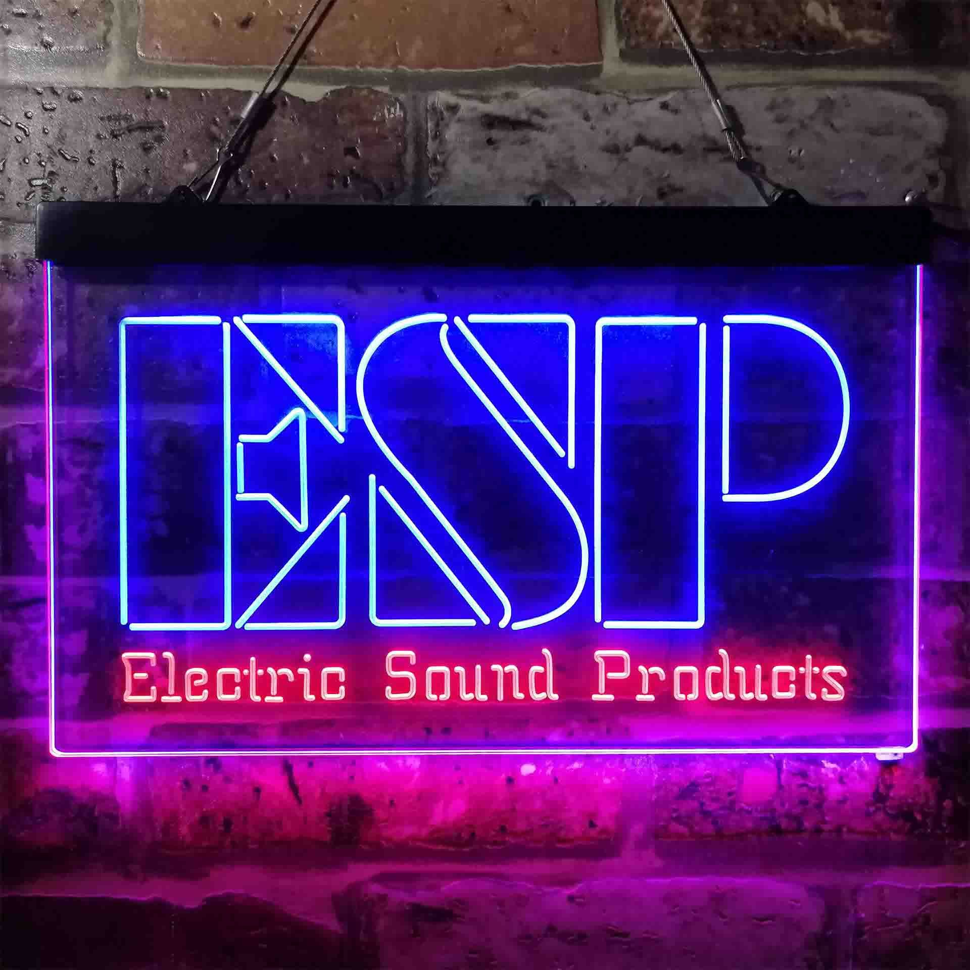 ESP Electric Sound Products Dual LED Neon Light Sign